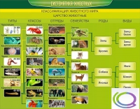 Стенд "Систематика животных" - «globural.ru» - Чайковский