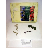 Гербарий ядовитых растений (20 видов) - «globural.ru» - Чайковский