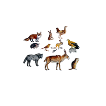 Фланелеграф "Животные степи" - «globural.ru» - Чайковский