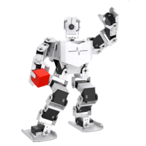 Базовый робототехнический набор  "Техник" для изучения систем управления робототехническими комплексами и андроидными роботами "Сережа ИН Про". Полный комплект на Raspbery Pi - «globural.ru» - Чайковский