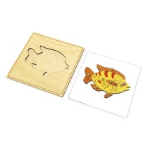 Строение рыбки с контуром - «globural.ru» - Чайковский