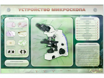 Электрифицированный стенд "Устройство микроскопа и правила работы c ним" - «globural.ru» - Чайковский