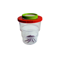 Коробка для изучения насекомых с лупой (вариант 2) - «globural.ru» - Чайковский