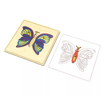 Строение бабочки с контуром. - «globural.ru» - Чайковский