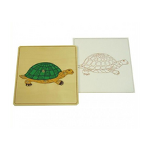 Строение черепахи с контуром - «globural.ru» - Чайковский