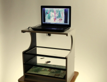 Мультстанок для перекладной анимации  - «globural.ru» - Чайковский