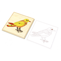 Строение птицы с контуром. - «globural.ru» - Чайковский