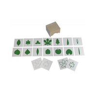 Шкафчик с карточками к ботаническому комоду - «globural.ru» - Чайковский