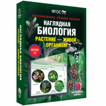 Наглядная биология. Растение - живой организм - «globural.ru» - Чайковский