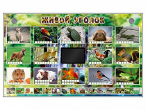 Комплект оборудования "Живой уголок" (животные) - «globural.ru» - Чайковский