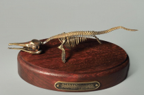 Модель скелета ихтиозавра Ichthyosaurus - «globural.ru» - Чайковский