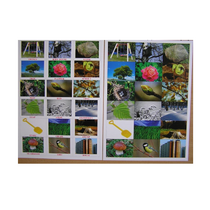 Английское лото "На прогулке" - «globural.ru» - Чайковский