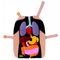 Фланелеграф-фартук "Анатомия" - «globural.ru» - Чайковский