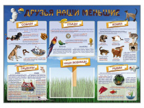 Стенд-уголок "Друзья наши меньшие" - «globural.ru» - Чайковский
