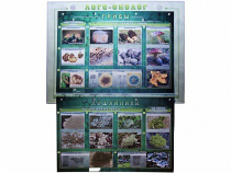 Комбинированный модульный комплекс "Лого-биолог" - «globural.ru» - Чайковский