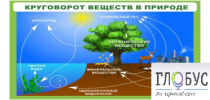 Стенд "Круговорот веществ" - «globural.ru» - Чайковский