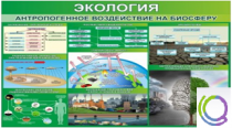 Стенд "Экология. Антропогенное воздействие на биосферу" - «globural.ru» - Чайковский