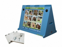 Интерактивная звуковая панель "Угадай-ка" с маркерными полями (дикие животные) - «globural.ru» - Чайковский