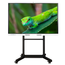 Интерактивный комплекс Geckotouch ​​​​​​​65RK - «globural.ru» - Чайковский