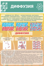 Стенд "Диффузия" - «globural.ru» - Чайковский