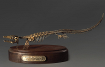 Модель скелета мозазавра Mosasaurus - «globural.ru» - Чайковский