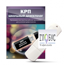Конструктор рабочей программы "Школьный дефектолог" на USB-носителе - «globural.ru» - Чайковский
