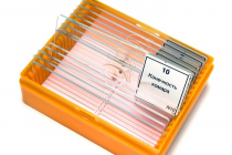 Набор микропрепаратов N10 - «globural.ru» - Чайковский