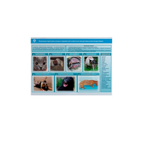 Стенд-планшет светодинамический «Острые отравления животных лекарственными препаратами» - «globural.ru» - Чайковский