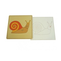 Строение улитки с контуром - «globural.ru» - Чайковский