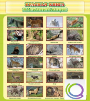 Стенд "Красная книга - млекопитающие" - «globural.ru» - Чайковский