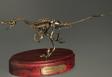 Модель скелета динозавра Velociraptor - «globural.ru» - Чайковский