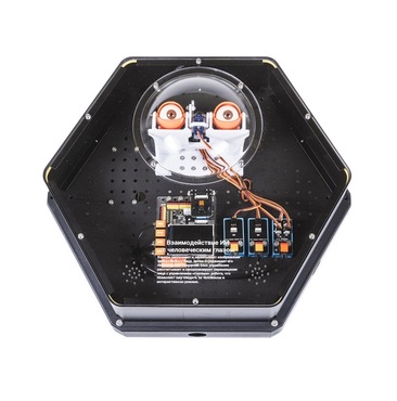 Модуль интерактивный с искусственным интеллектом "Наблюдатель" - «globural.ru» - Чайковский