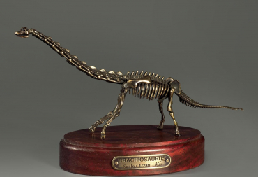 Модель скелета динозавра Brachiosaurus - «globural.ru» - Чайковский