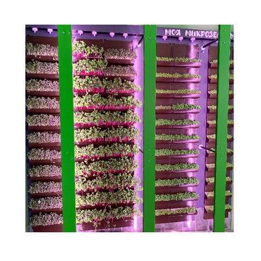 Вертикальная ферма "Моя Микрозелень" комплектация Школьная - «globural.ru» - Чайковский