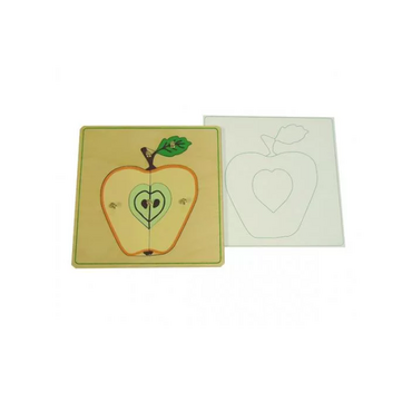 Части яблока с контуром - «globural.ru» - Чайковский