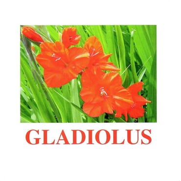"Flowers-1" ("Цветы-1") английские карточки Домана - «globural.ru» - Чайковский