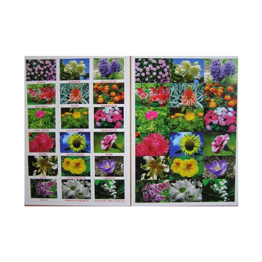 Английское лото "Цветы - травы" - «globural.ru» - Чайковский