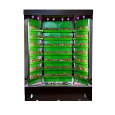 Вертикальная ферма "Моя Микрозелень" комплектация "Театро настольная" - «globural.ru» - Чайковский