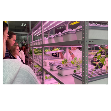 АГРОпространство для ВУЗ/СПО - «globural.ru» - Чайковский