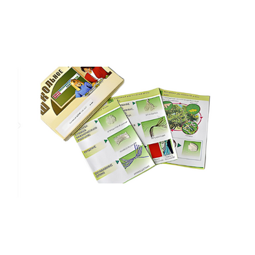 Коллекция "Шелк" (начальная школа) - «globural.ru» - Чайковский