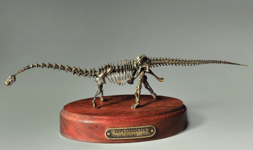 Модель скелета динозавра Diplodocus  (вариант 2) - «globural.ru» - Чайковский
