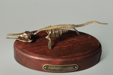 Модель скелета ихтиозавра Ichthyosaurus - «globural.ru» - Чайковский