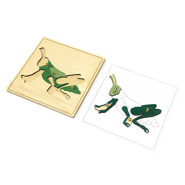 Строение кузнечика с контуром - «globural.ru» - Чайковский