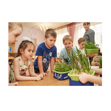 Обучающий комплект экологической направленности "Сити-фермер 2.0 Детский сад" на 30 человек VIP - «globural.ru» - Чайковский