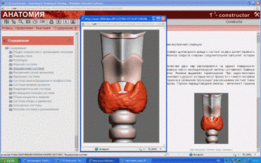 Анатомия онлайн. Школьный атлас - «globural.ru» - Чайковский