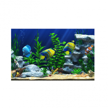 Интерактивный аттракционный комплекс "Водный мир" - «globural.ru» - Чайковский