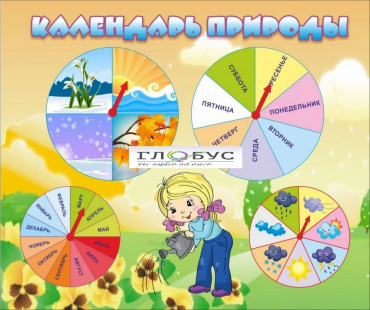 Стенд "Календарь природы" (вариант 1) - «globural.ru» - Чайковский