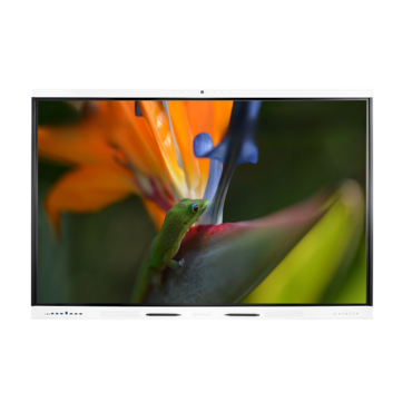 Интерактивная панель Geckotouch Interactive ​​​​​​​65SL - «globural.ru» - Чайковский