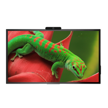 Интерактивная панель Geckotouch Interactive 65R - «globural.ru» - Чайковский