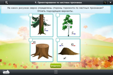 Интерактивные курсы. Окружающий мир 1 класс. Базовый - «globural.ru» - Чайковский
